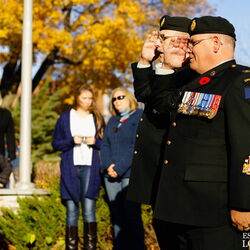 2015-11-08 - Parade Armistice